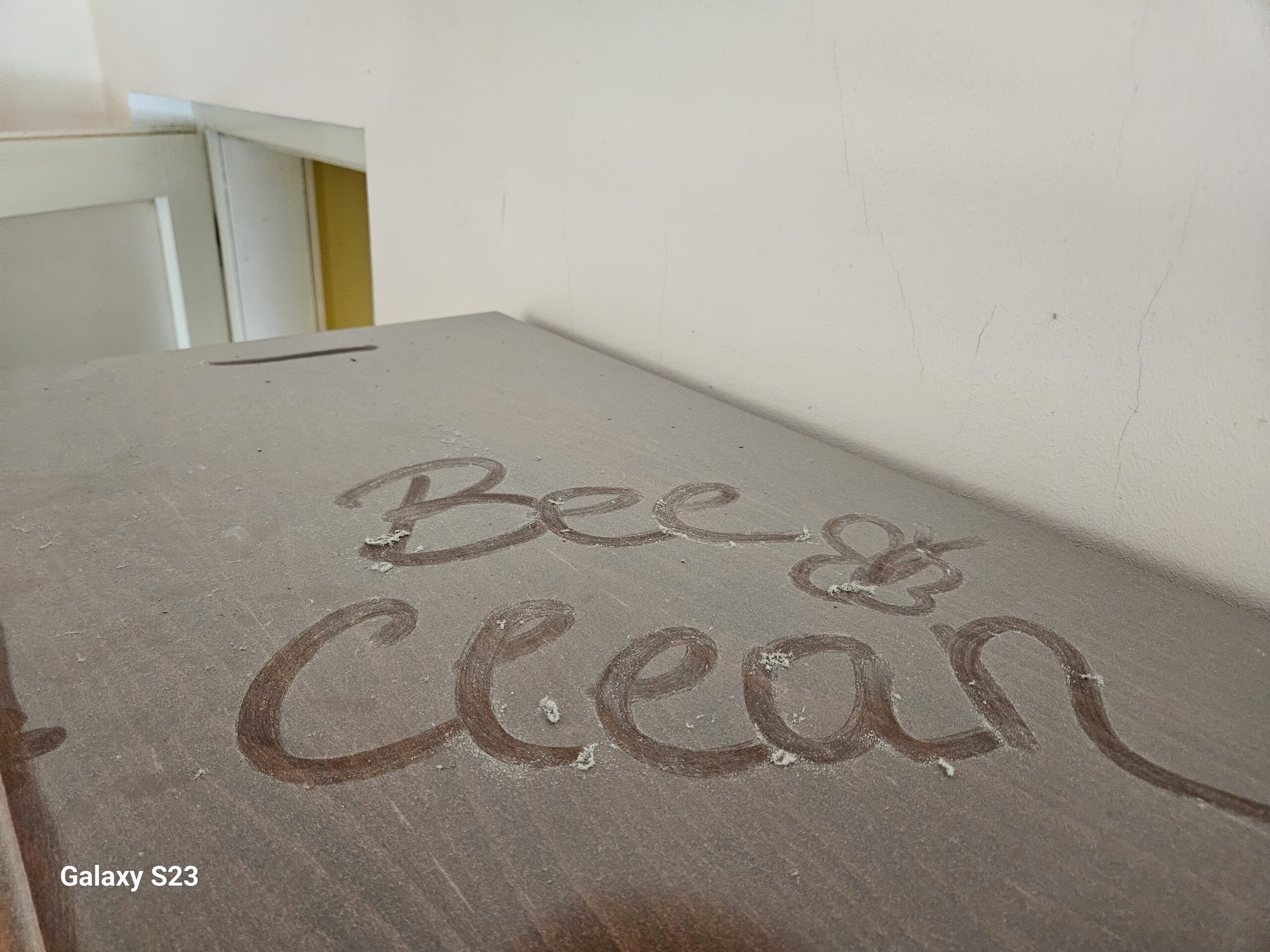 BeeClean prah